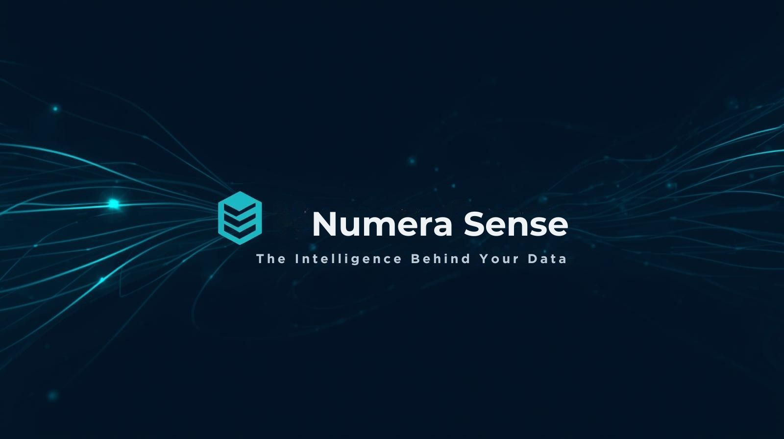 Numera Sense - The Intelligence Behind Your Data