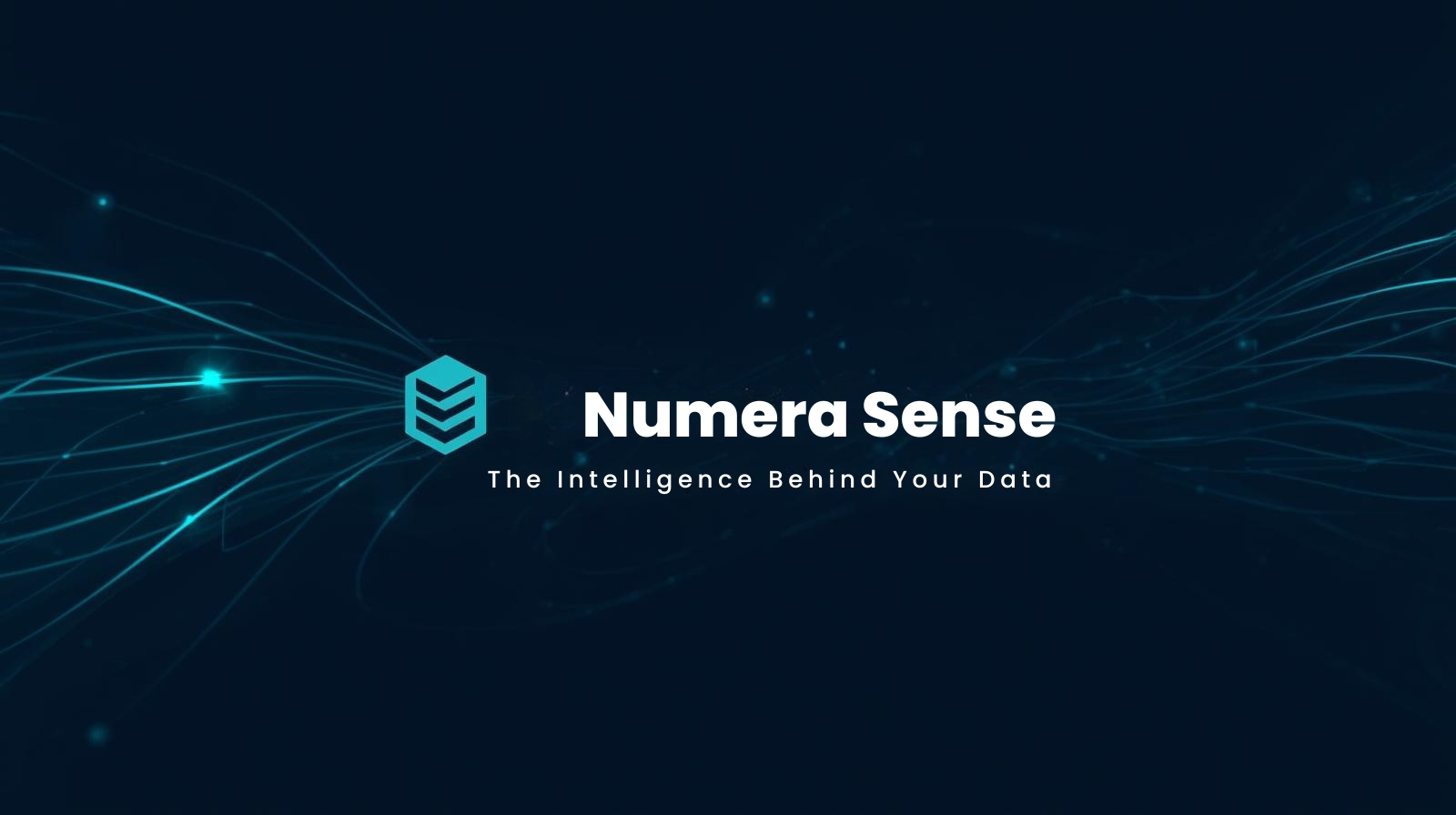 Numera Sense, The Intelligence Behind Your Data